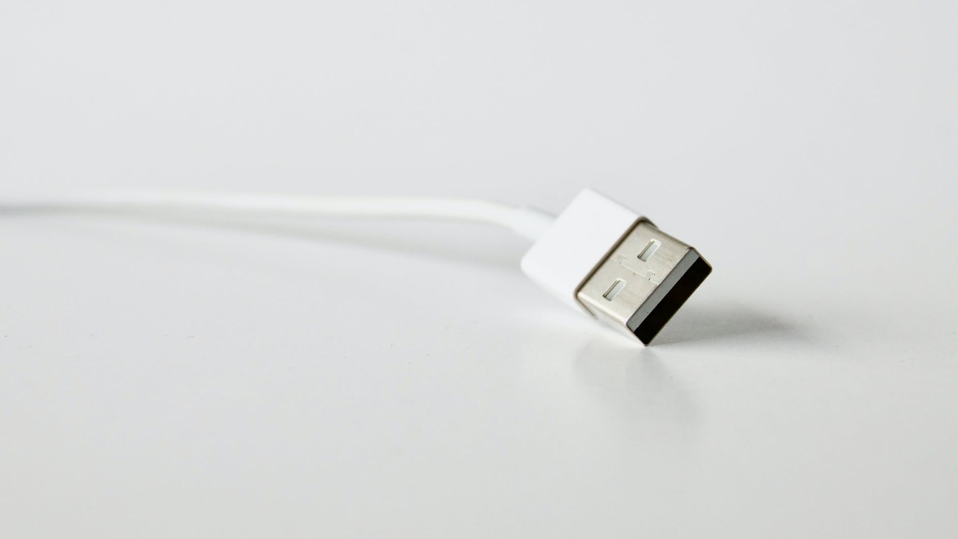 close up photo of white usb cable